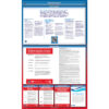 Federal Contractor Labor Law Poster