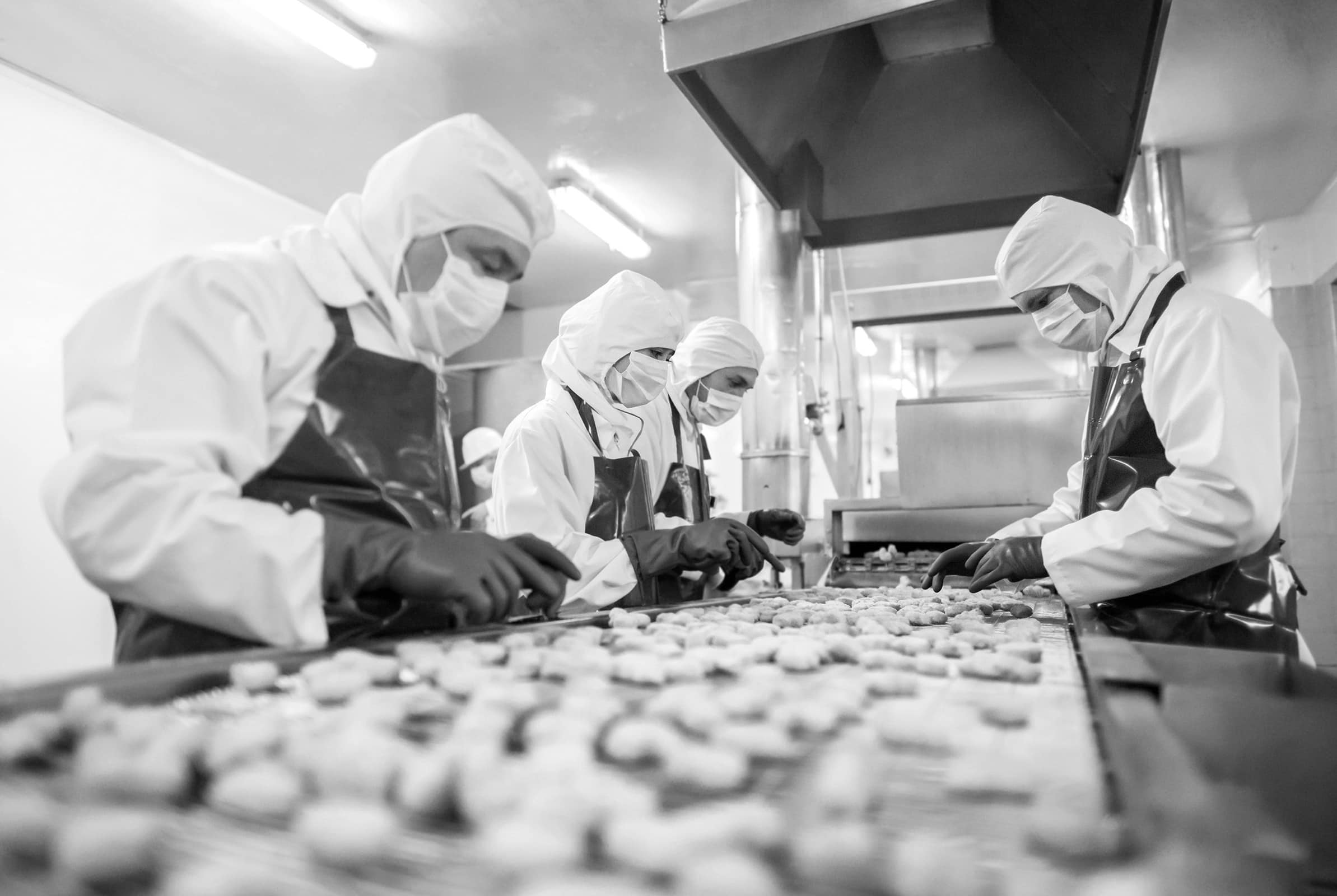 Workers sorting food on a conveyor belt.