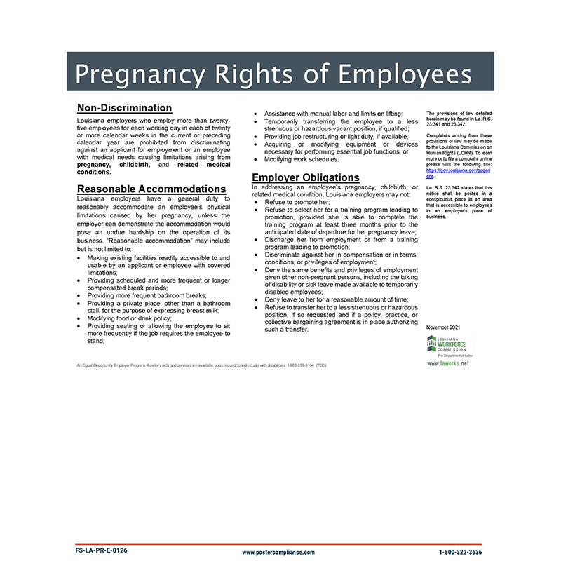 Pregnancy-Rights-Free-Poster-Image